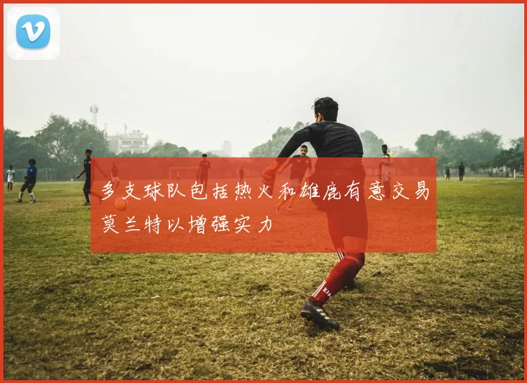 多支球队包括热火和雄鹿有意交易莫兰特以增强实力