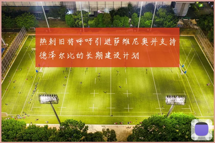 热刺旧将呼吁引进萨维尼奥并支持德泽尔比的长期建设计划