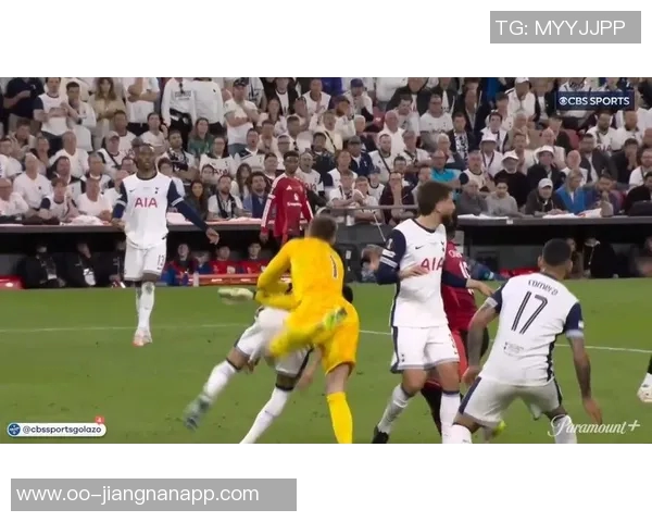 范德芬全场最佳表现助热刺战胜水晶宫贡献11解围与2抢断精彩数据